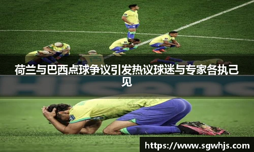 荷兰与巴西点球争议引发热议球迷与专家各执己见