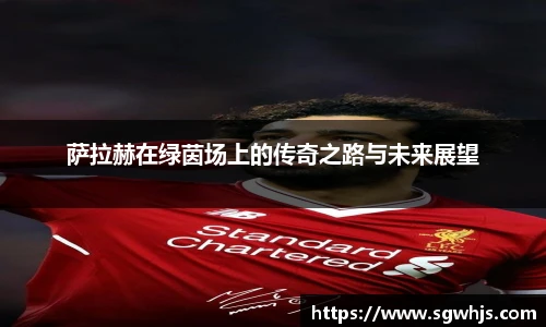 萨拉赫在绿茵场上的传奇之路与未来展望