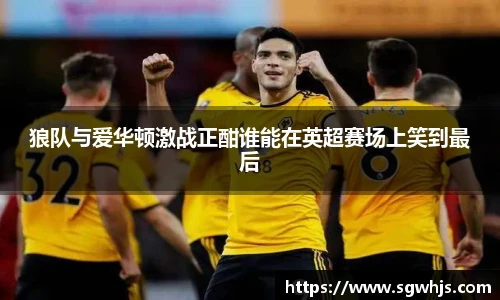 狼队与爱华顿激战正酣谁能在英超赛场上笑到最后