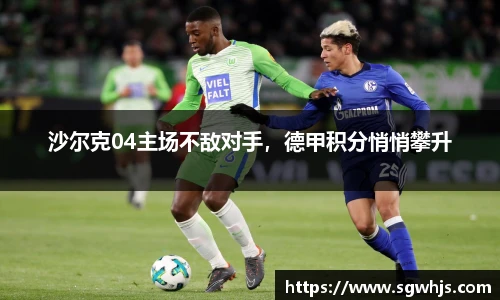 沙尔克04主场不敌对手，德甲积分悄悄攀升