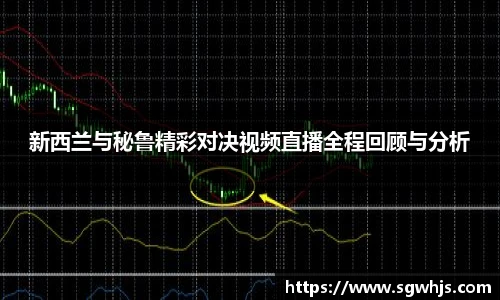 新西兰与秘鲁精彩对决视频直播全程回顾与分析