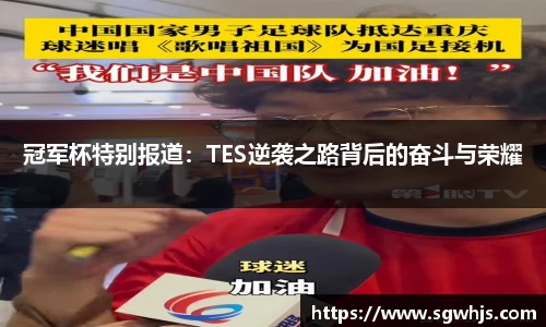 冠军杯特别报道：TES逆袭之路背后的奋斗与荣耀